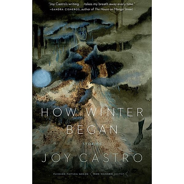 How Winter Began / Flyover Fiction, Joy Castro