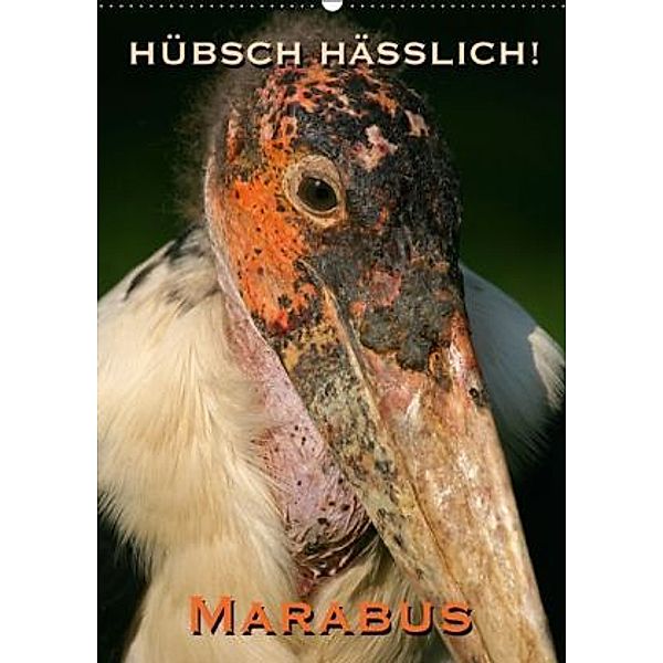 Hübsch hässlich! Marabus (Wandkalender 2016 DIN A2 hoch), Martina Berg