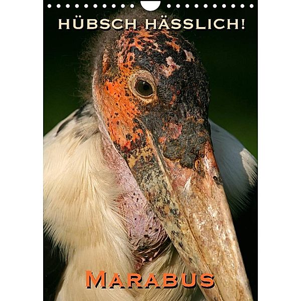 Hübsch hässlich! Marabus (Wandkalender 2023 DIN A4 hoch), Martina Berg