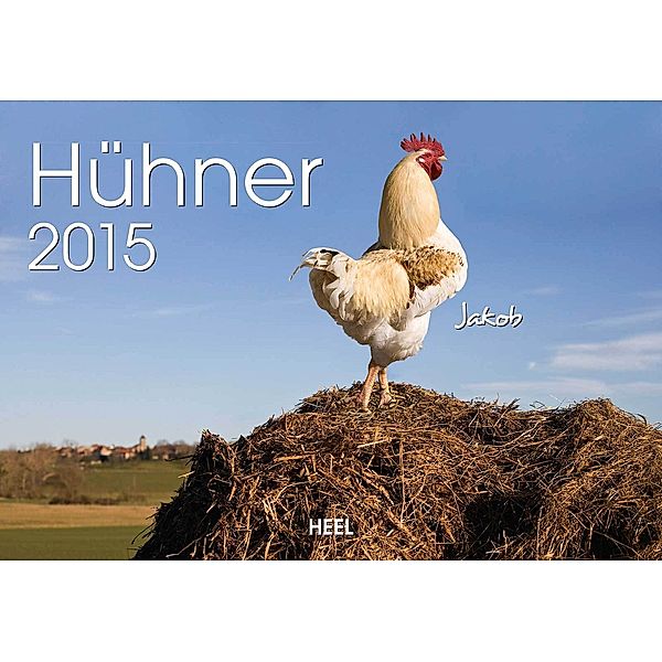 Hühner 2015