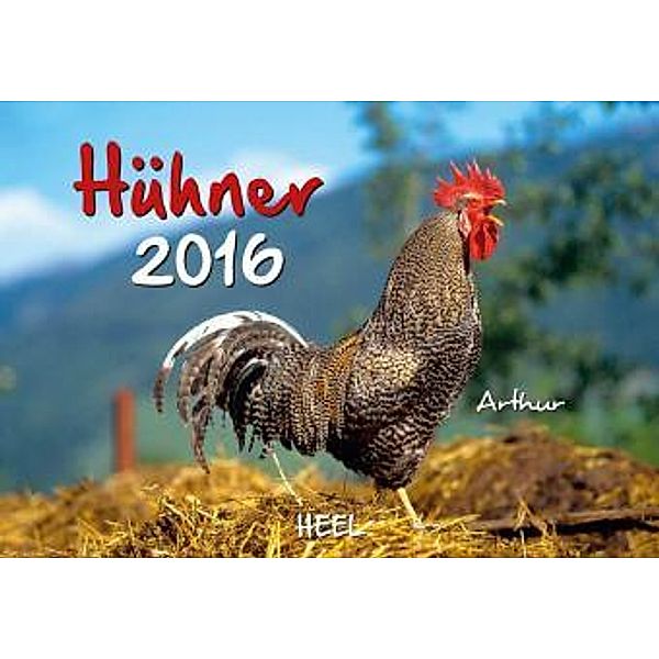 Hühner 2016