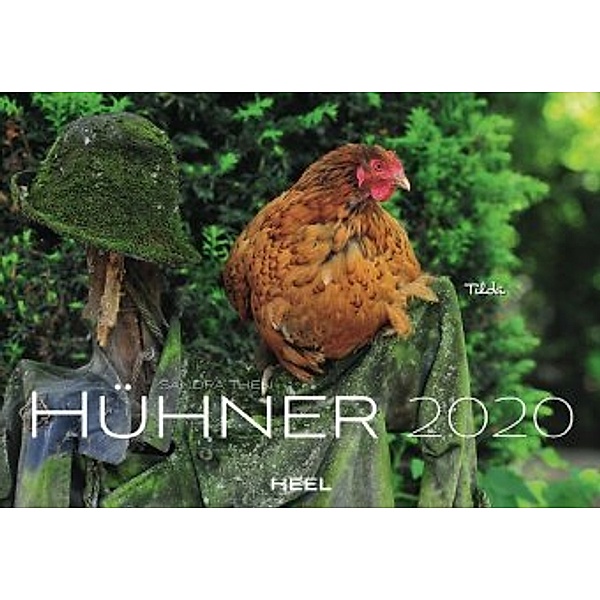 Hühner 2020, Sandra Then