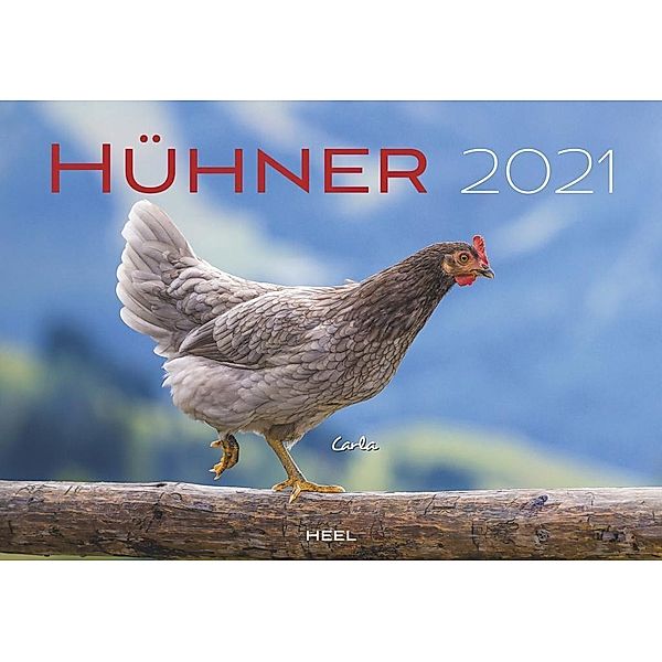 Hühner 2021