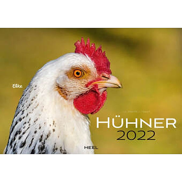 Hühner 2022