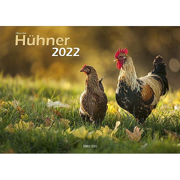 Hühner 2022 Bildkalender A3 quer - Oliver Giel