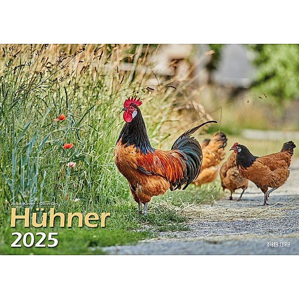 Hühner 2025 Bildkalender A3 quer - Judith Kiener & Oliver Giel