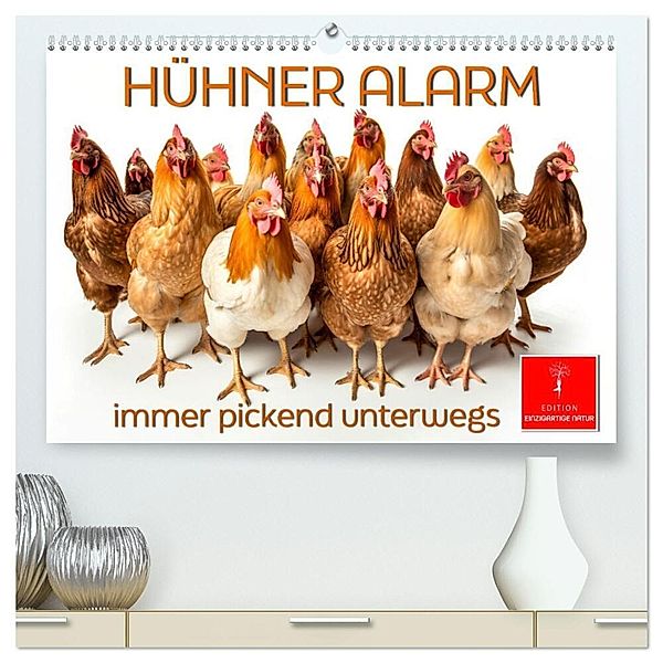 Hühner Alarm (hochwertiger Premium Wandkalender 2025 DIN A2 quer), Kunstdruck in Hochglanz, Calvendo, Peter Roder