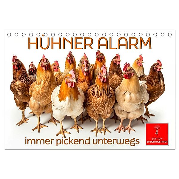 Hühner Alarm (Tischkalender 2025 DIN A5 quer), CALVENDO Monatskalender, Calvendo, Peter Roder