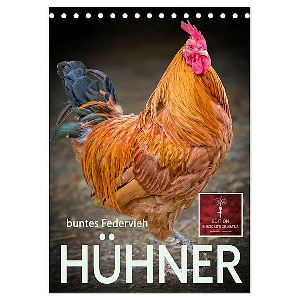 Hühner - buntes Federvieh (Tischkalender 2024 DIN A5 hoch), CALVENDO Monatskalender, Peter Roder