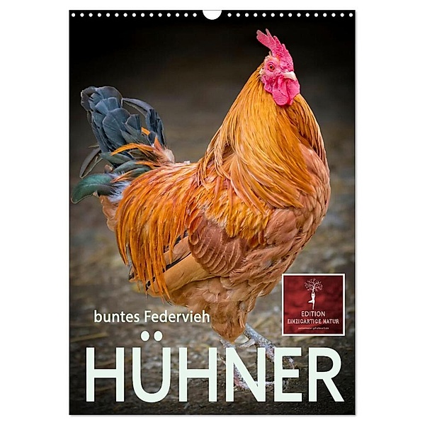 Hühner - buntes Federvieh (Wandkalender 2024 DIN A3 hoch), CALVENDO Monatskalender, Peter Roder