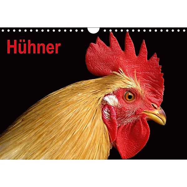 Hühner / Geburtstagskalender (Wandkalender immerwährend DIN A4 quer), Elisabeth Stanzer