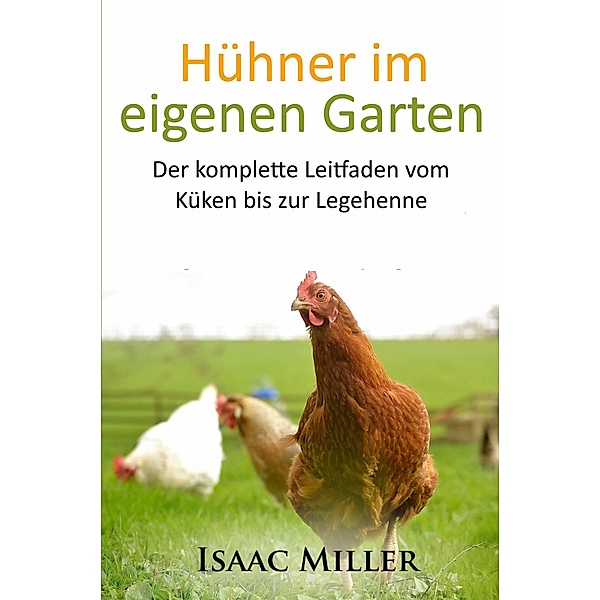 Hühner im eigenen Garten, Isaac Miller