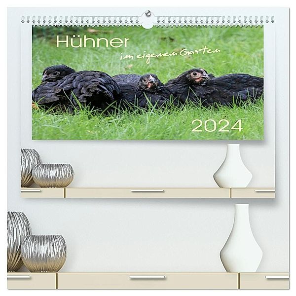 Hühner im eigenen Garten (hochwertiger Premium Wandkalender 2024 DIN A2 quer), Kunstdruck in Hochglanz, Nicole Stephan