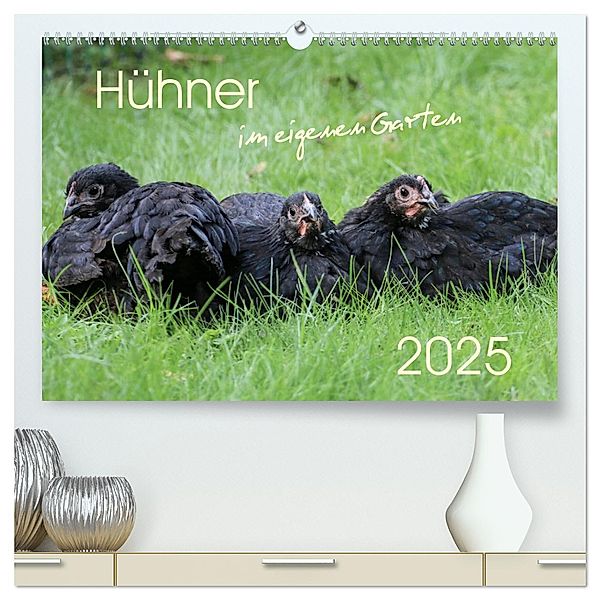 Hühner im eigenen Garten (hochwertiger Premium Wandkalender 2025 DIN A2 quer), Kunstdruck in Hochglanz, Calvendo, Nicole Stephan