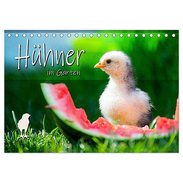 Hühner im Garten (Tischkalender 2024 DIN A5 quer), CALVENDO Monatskalender, Fotografie Zabel
