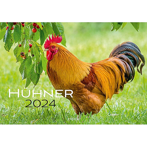 Hühner Kalender 2024, Klein