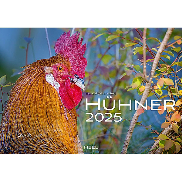 Hühner Kalender 2025, J.-L. Klein, M.-L. Hubert