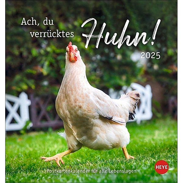 Hühner Postkartenkalender 2025 - Ach, du verrücktes Huhn!