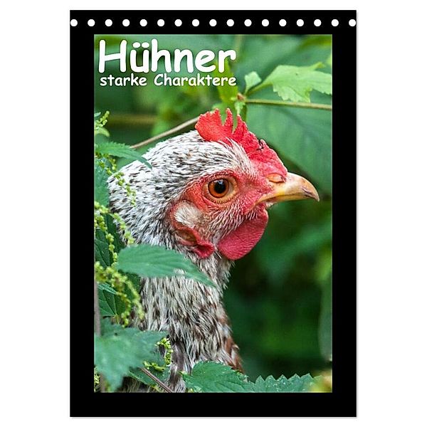 Hühner - starke Charaktere (Tischkalender 2024 DIN A5 hoch), CALVENDO Monatskalender, Britta Berkenkamp