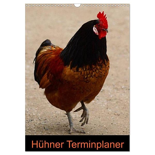 Hühner Terminplaner (Wandkalender 2024 DIN A3 hoch), CALVENDO Monatskalender, Kattobello
