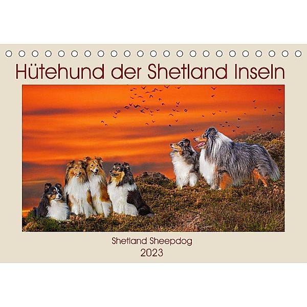 Hütehund der Shetland Inseln - Shetland Sheepdog (Tischkalender 2023 DIN A5 quer), Sigrid Starick