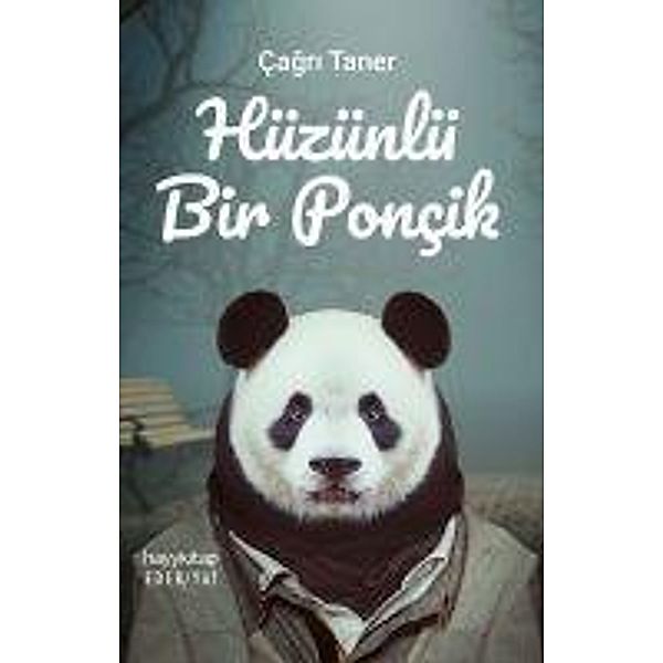 Hüzünlü Bir Poncik, Cagri Taner