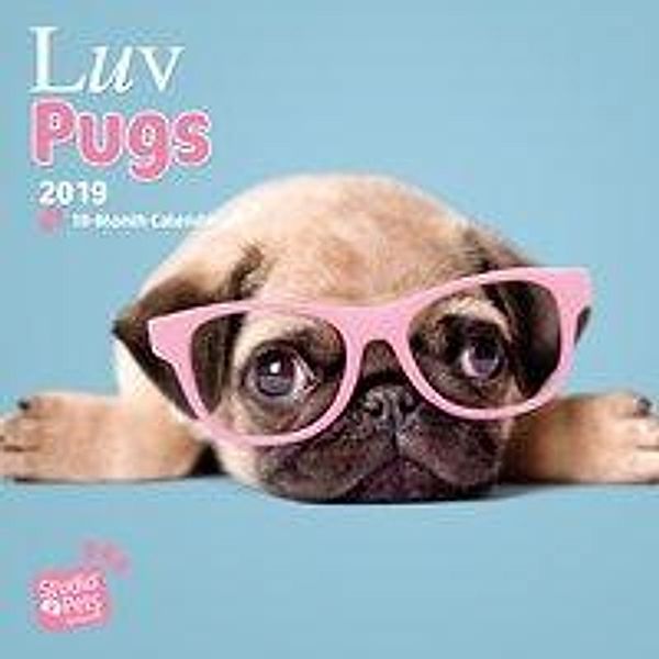 Huijing, M: Luv Pugs - Möpse 2019 - 18-Monatskalender, Myrna Huijing