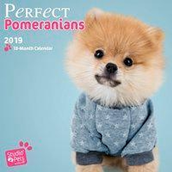 Huijing, M: Perfect Pomeranians - Pomeranian/Zwergspitz 2019, Myrna Huijing