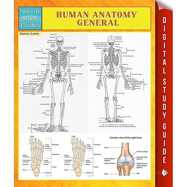 Human Anatomy General Speedy Study Guides, Speedy Publishing