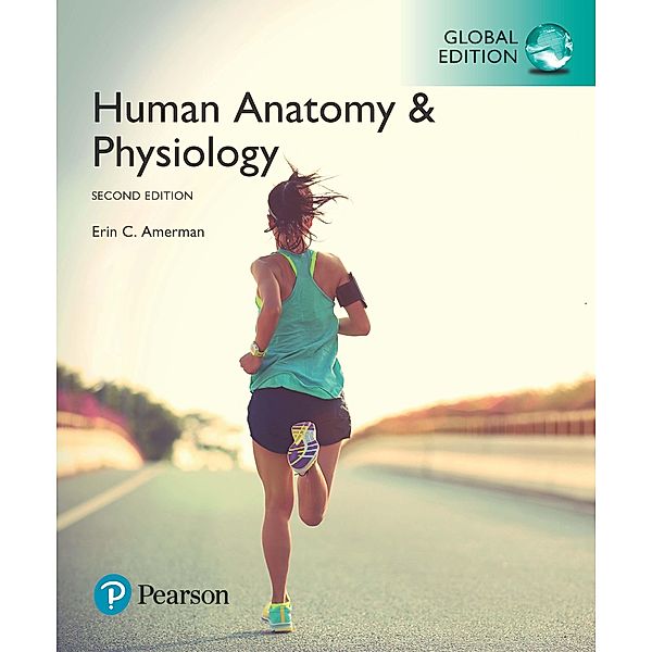 Human Anatomy & Physiology, Global Edition, Erin C. Amerman