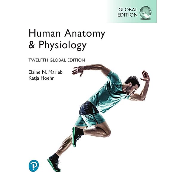 Human Anatomy & Physiology, Global Edition, Elaine N. Marieb, Katja Hoehn