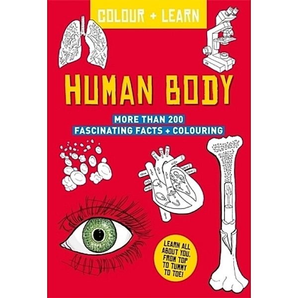 Human Body