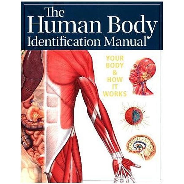 Human Body Identification Manual (Academic Edition), Ian Whitmore, Ken Ashwell