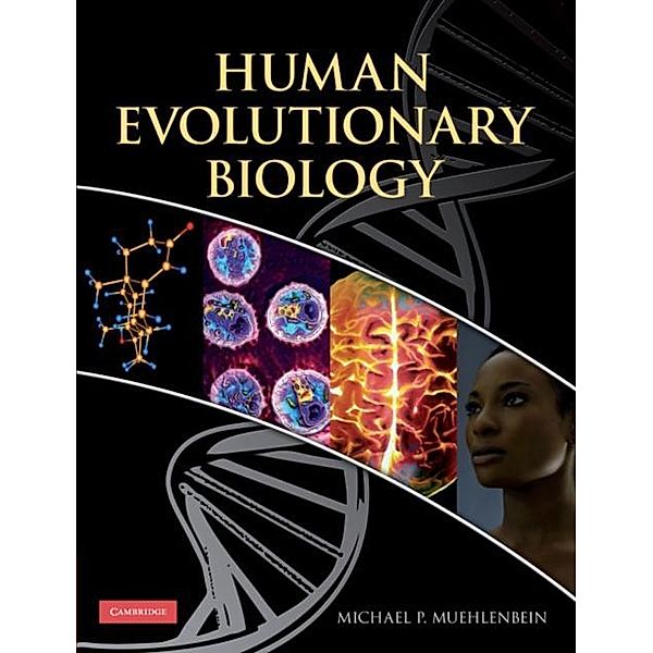 Human Evolutionary Biology