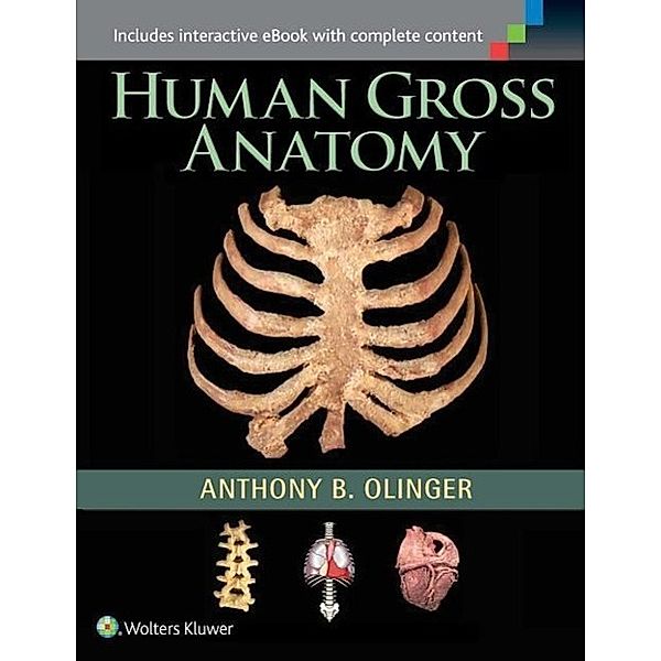 Human Gross Anatomy, Anthony Olinger
