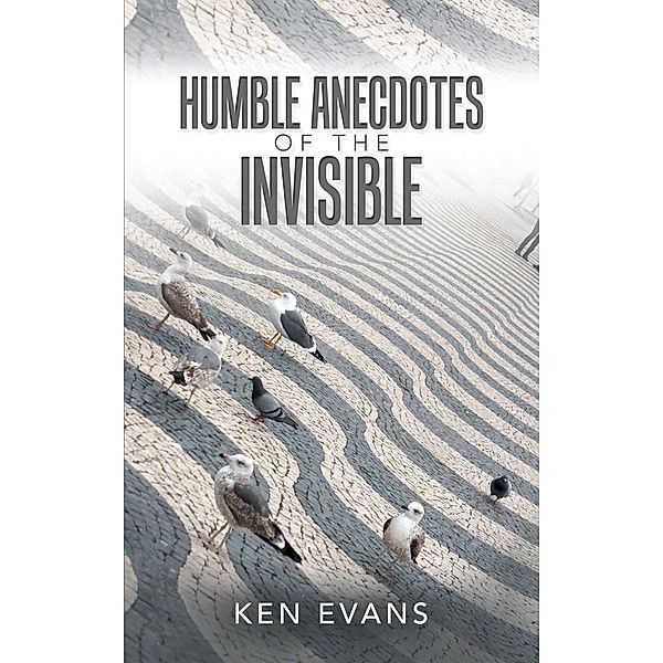 Humble Anecdotes of the Invisible, Ken Evans
