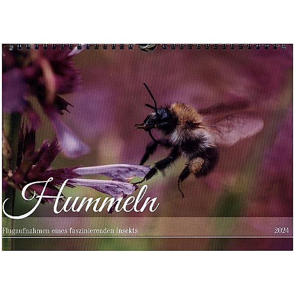 Hummeln - Flugaufnahmen eines faszinierenden Insekts (Wandkalender 2024 DIN A4 quer), CALVENDO Monatskalender, Calvendo, Christian Müller