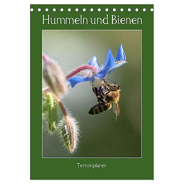 Hummeln und Bienen Terminplaner (Tischkalender 2024 DIN A5 hoch), CALVENDO Monatskalender, Stephanie Kohrt