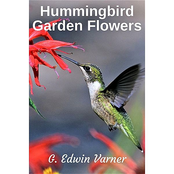 Hummingbird Garden Flowers, G. Edwin Varner