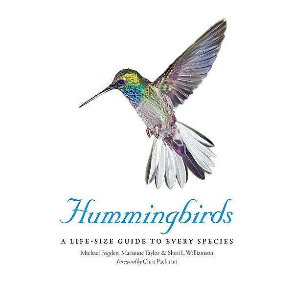 Hummingbirds, Michael Fogden, Marianne Taylor