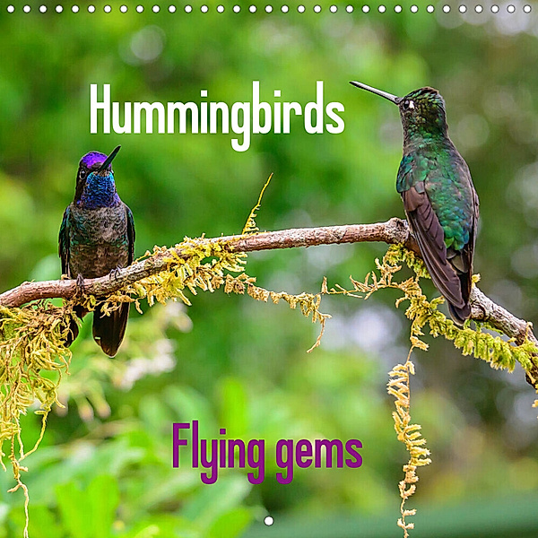 Hummingbirds - Flying gems (Wall Calendar 2023 300 × 300 mm Square), Jürgen Wöhlke