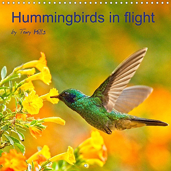 Hummingbirds in flight (Wall Calendar 2023 300 × 300 mm Square), Tony Mills