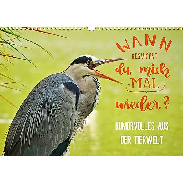 Humorvolles aus der Tierwelt (Wandkalender 2021 DIN A3 quer), Anette Jäger und Mimi