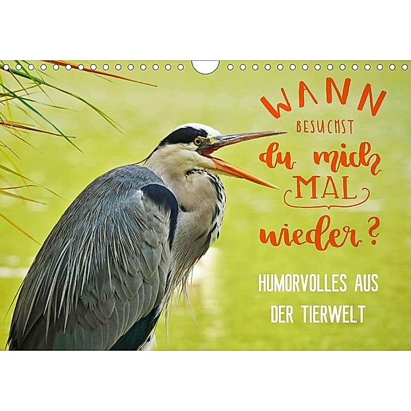 Humorvolles aus der Tierwelt (Wandkalender 2021 DIN A4 quer), Anette Jäger und Mimi