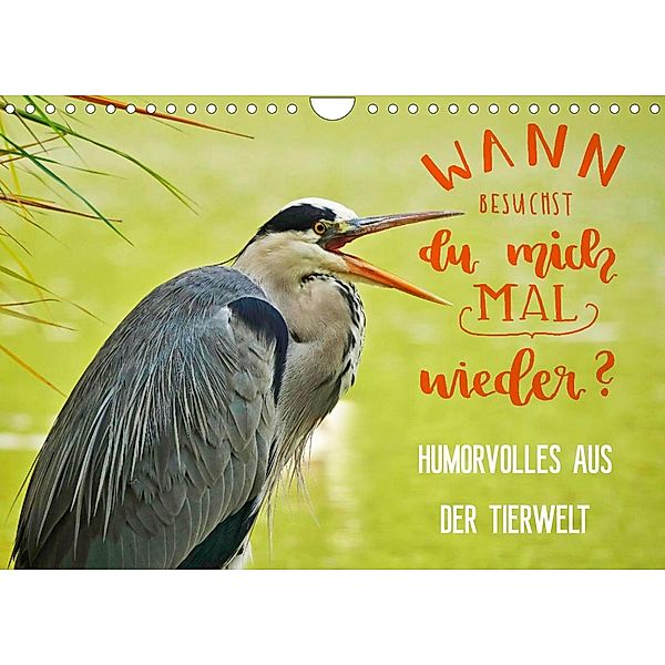 Humorvolles aus der Tierwelt (Wandkalender 2023 DIN A4 quer), Anette Jäger und Mimi