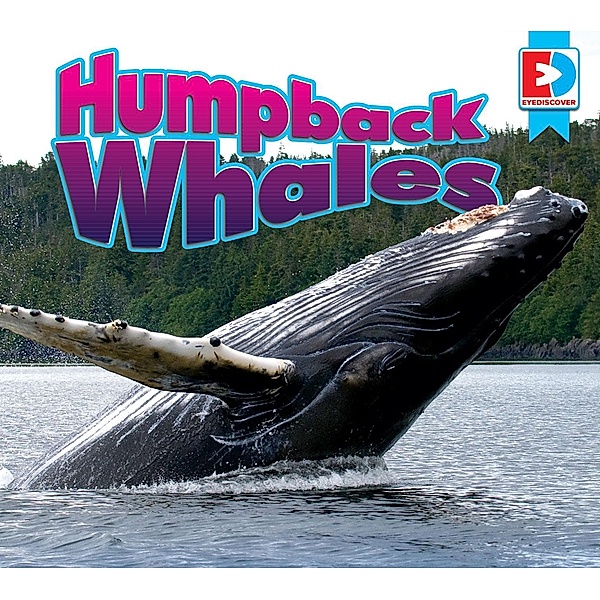 Humpback Whales, Heather Dilorenzo Williams