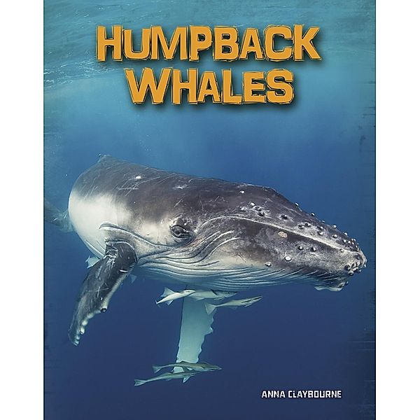 Humpback Whales, Anna Claybourne