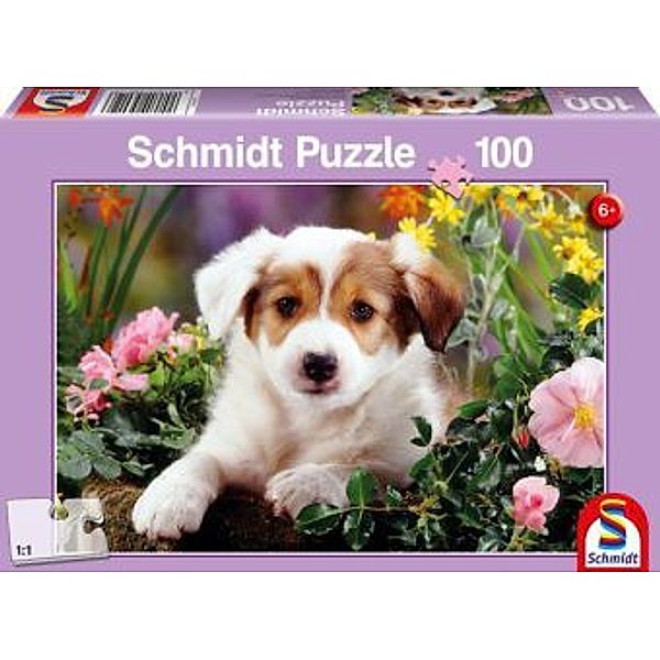 Hund Baboo (Kinderpuzzle)