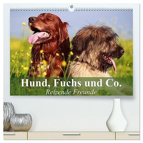Hund, Fuchs und Co. Reizende Freunde (hochwertiger Premium Wandkalender 2025 DIN A2 quer), Kunstdruck in Hochglanz, Calvendo, Elisabeth Stanzer