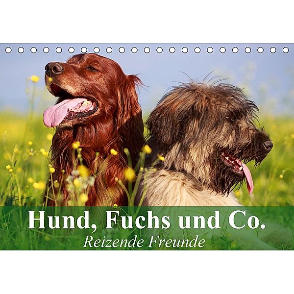 Hund, Fuchs und Co. Reizende Freunde (Tischkalender 2021 DIN A5 quer), Elisabeth Stanzer